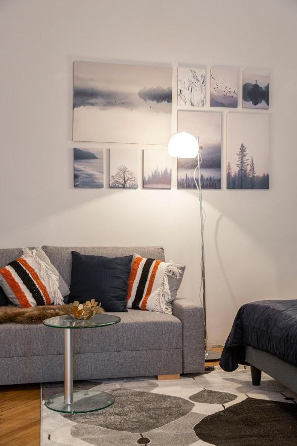 Spacious & Cozy Downtown Apartment With Balcony Budapest Ngoại thất bức ảnh